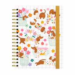 [25CC96-36] Caderno Colegial - Dach Miolo:96 Folhas